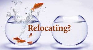 assets/Business Relocations.jpg